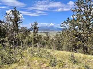 4513 Middle Fork Vista Lot 562, Fairplay, CO 80440