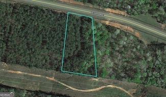 109 Heights Ave, Forsyth, GA 31029