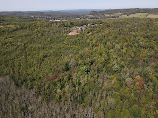 Lot 1 Palms Rd, Bessemer, MI 49911