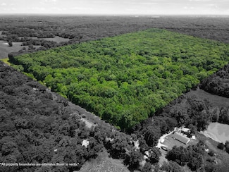 40 ACRES E Mt Zion Church, Hallsville, MO 65255