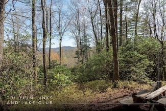 Lot 4 Trillium Ridge Rd, Cullowhee, NC 28723