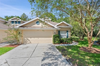 20221 Vintage Oaks Place, Tampa, FL 33647