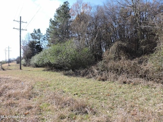 4875 Highway 305, Olive Branch, MS 38654