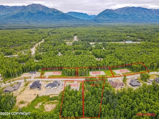 8412 E Windy Woods Loop, Fishhook, AK 99654