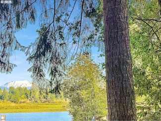 300 Kerr Rd, Silver Lake, WA 98645