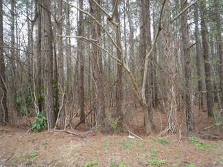 TBD-1 Sarvis St, Tabor City, NC 28463