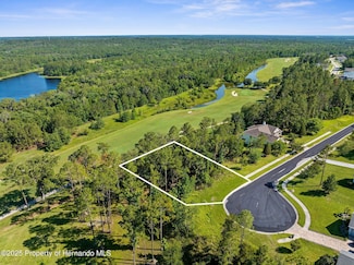 20118 English Walnut Place, Brooksville, FL 34601