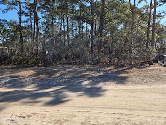 1320 Partridge Place SW, Shallotte, NC 28470