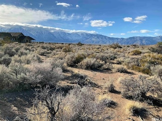 1290 Jo Ln, Gardnerville, NV 89410