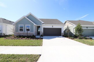 11329 Hardwood Hammock Ln, Tampa, FL 33618