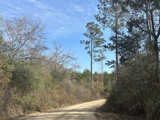 Tract 6317 Harris Stevenson Rd, Bonifay, FL 32425