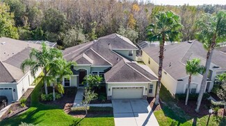 3223 Grassglen Place, Wesley Chapel, FL 33544