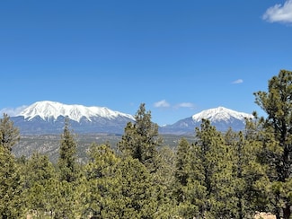 8315 Gun Barrel Ridge Unit 16, Weston, CO 81091