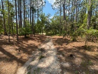 0 SW 99th Ln Unit MFRT3545210, Dunnellon, FL 34432
