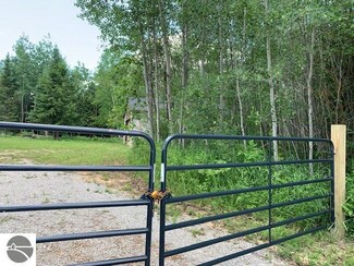 1151 Caldwell Rd, Mio, MI 48647