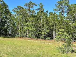 198 Britton Rd, Windsor, SC 29856