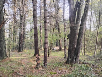 0 Deer Run Ln Unit 24093159, Goshen, CT 06756