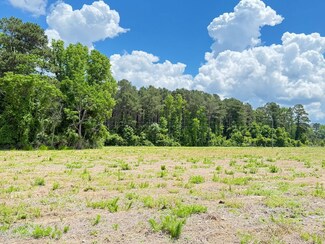 Tbd Gwen Dr Unit LotWP009, Hamer, SC 29547