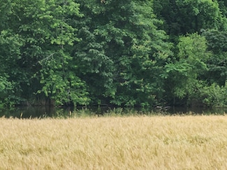 12156 E Bunny Farm Rd, Mount Vernon, IL 62864