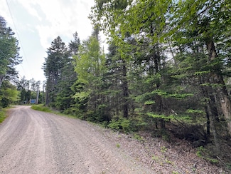 #06-05-0A Nepp Point Rd, Roque Bluffs, ME 04654