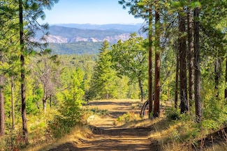 TBD Wagner Ridge Rd, Coulterville, CA 95311