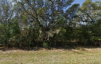 796 E Wacker St, Hernando, FL 34442