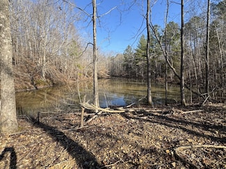 0 Ditney Ridge, Bumpus Mills, TN 37028