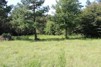 Lots 21 & 22 Cypress Hills, Jasper, TX 75951