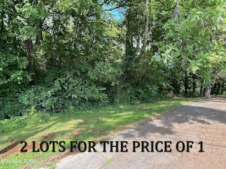 Lots 14&15 W View Dr, Strawberry Plains, TN 37871