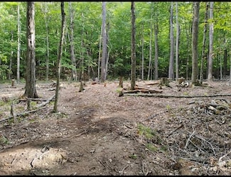 335 Coolidge Dr, Washington, NH 03280