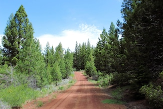 0 Golden Ln, Alturas, CA 96101