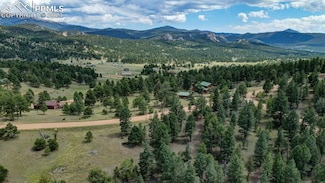 69 Nimbus Ln, Florissant, CO 80816