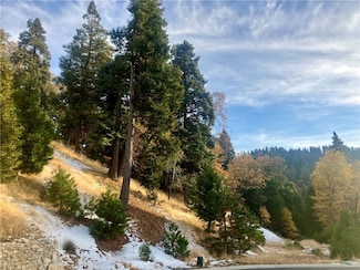 285 Hidden Forest Rd, Lake Arrowhead, CA 92352
