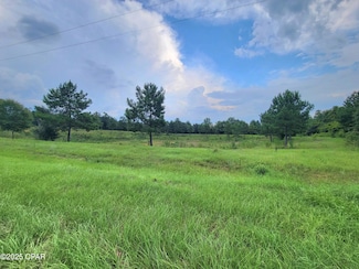 00 Lovedale Rd, Bascom, FL 32423