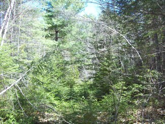 tbd Off Mallet's Mill Rd, Lee, ME 04455