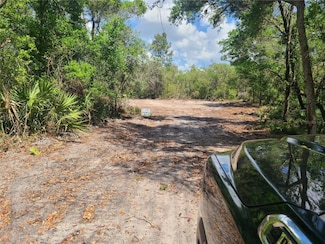0 Bobcat Ln Unit MFRO6298320, Osteen, FL 32738