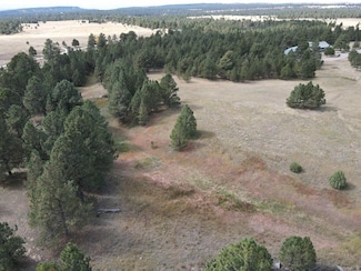 0 Bridle Bit Ct Unit 86299, Newcastle, WY 82701