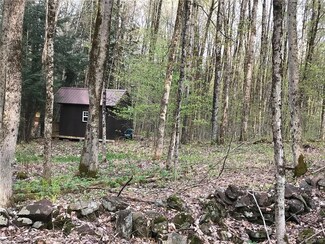 1734 Florence Hill Rd, Camden, NY 13316