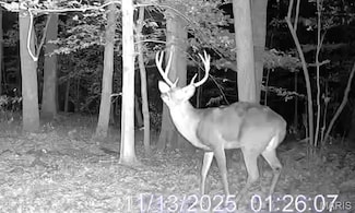 0000 Forest Rd, Ava, IL 62907