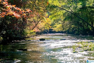 Lot 4 Bluegrass Ln Unit 4, Jasper, AL 35503