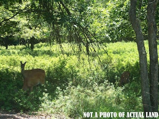 D2178 S Old Stage Rd, Penn Forest Township, PA 18210
