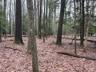 0 Pennsylvania 949, Sigel, PA 15860