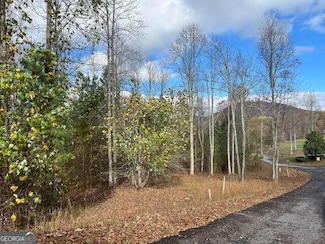 Lot 41 Meadow Brooke Dr, Young Harris, GA 30582