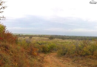 390 Acres Devils Hollow Rd Unit Dobbs Creek, Byers, TX 76357