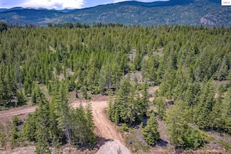 NNA Noble Lane Lot 1 Phase 2, Sandpoint, ID 83864
