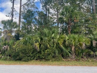 11 Pinelark Ln, Palm Coast, FL 32164