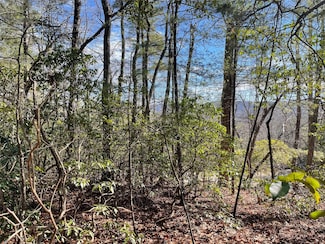 00 Willow Run Ln Unit 16, Zirconia, NC 28790