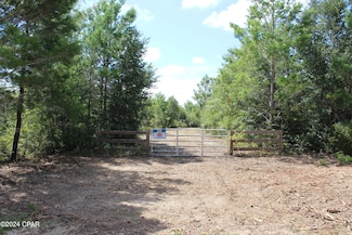 Lot 25 Holmes Valley Rd, Vernon, FL 32462