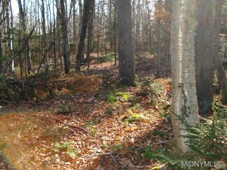 43 Deer Meadow Cul-De-sac, Old Forge, NY 13420