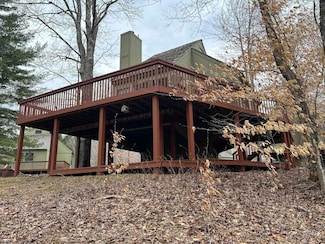 77 Red Squirrel Run, Davis, WV 26260